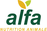 logo (10)